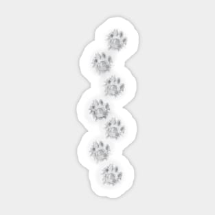 Cat Paws Sticker